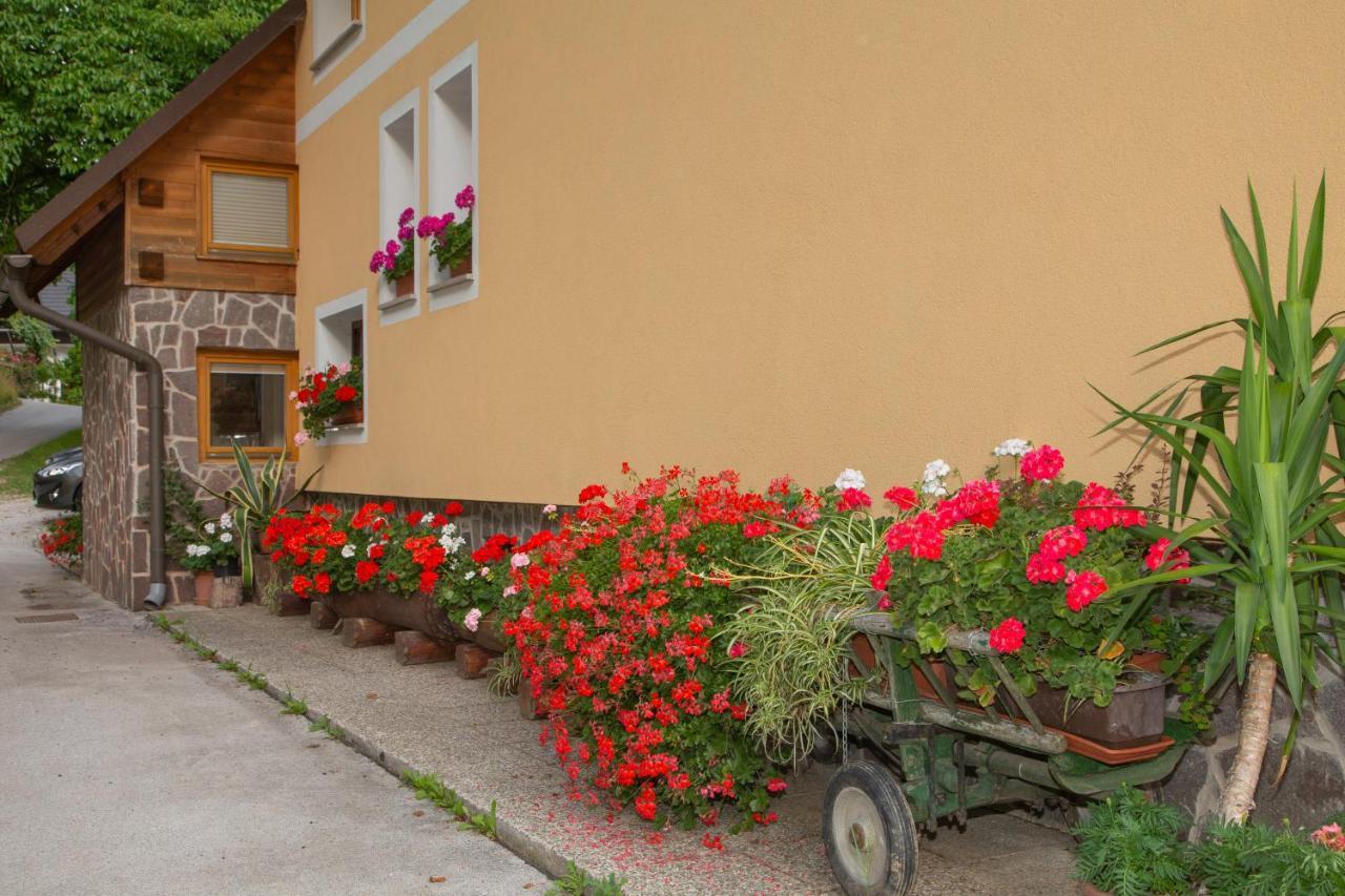 Apartma Erlah Apartamento Bohinj Exterior foto